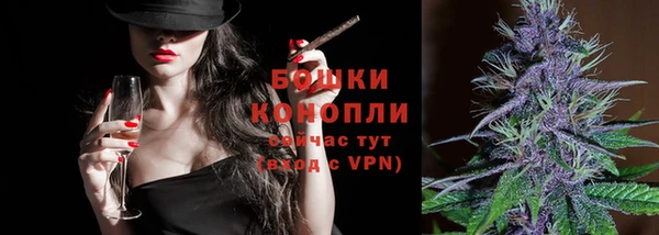 тгк Новодвинск