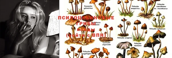 дмт Абдулино